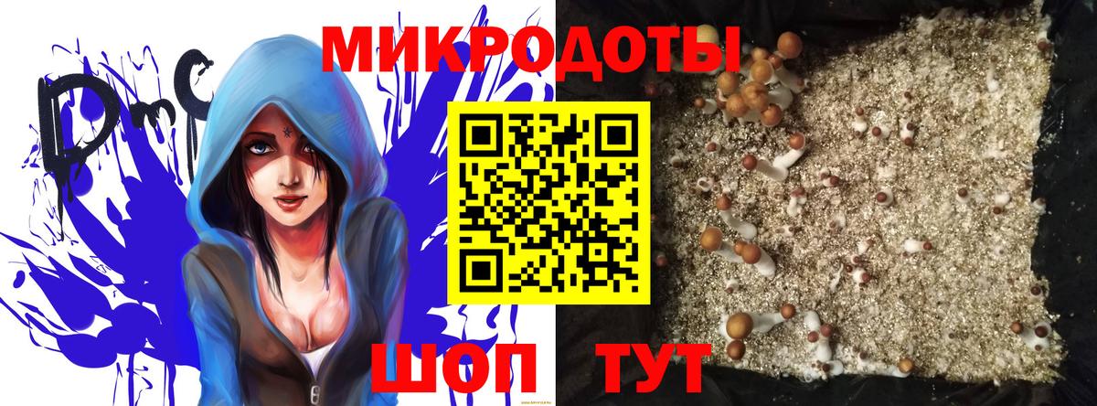 Галлюциногенные грибы прущие грибы  Вход с VPN  Бор 