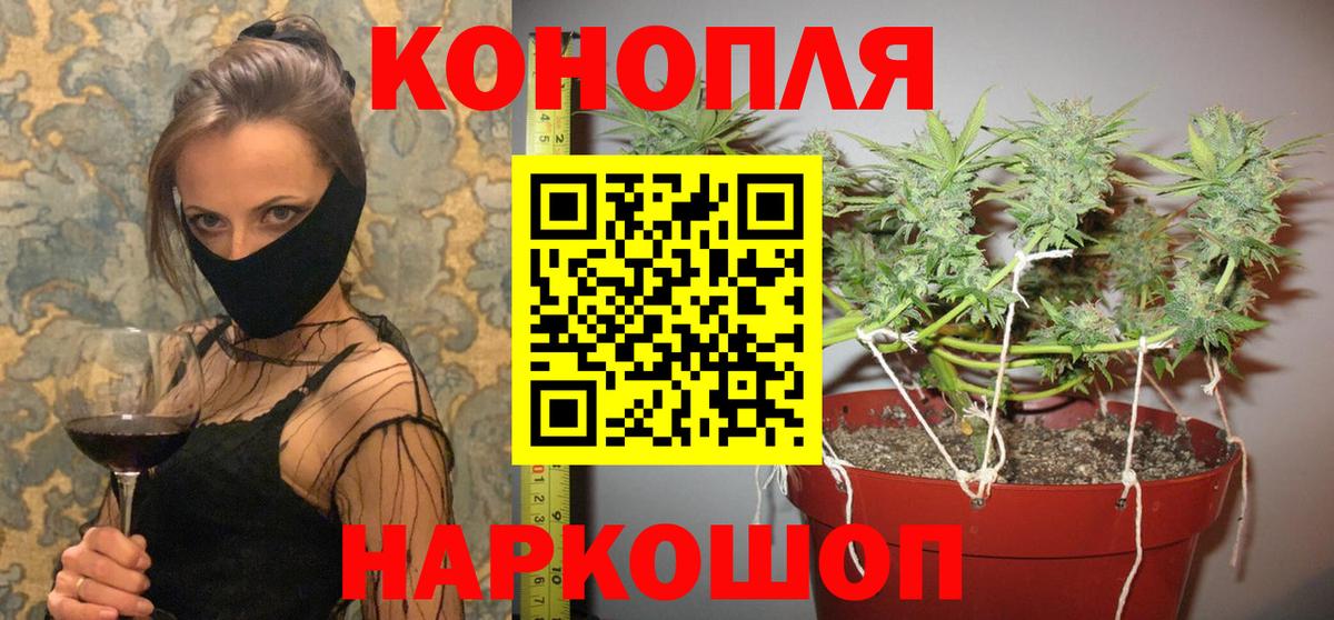 Конопля ГИДРОПОН  Конопля THC 21%  Вход с VPN  Каннабис сатива  Конопля Amnesia  Бор 